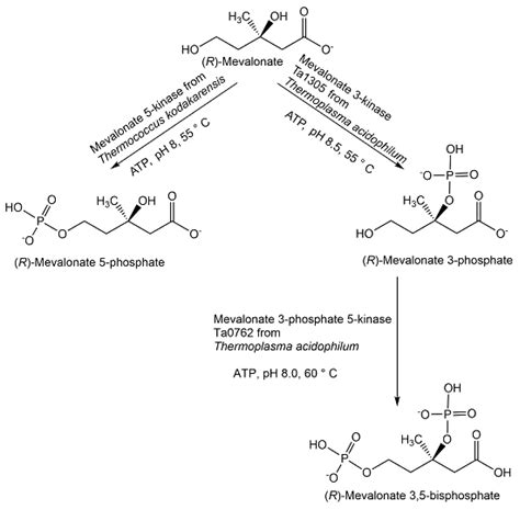 Lipase Biocatalytic Degradation: A Revolutionary Approach for Sustainable Plastic Recycling!