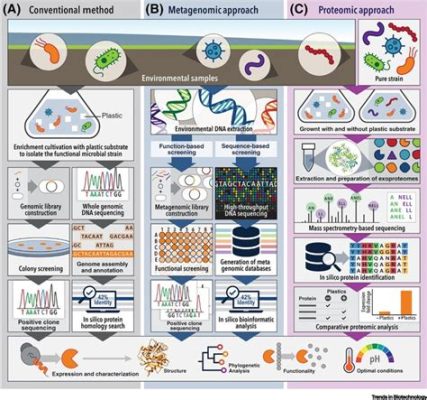 Lipase Biocatalytic Degradation: A Revolutionary Approach for Sustainable Plastic Recycling!